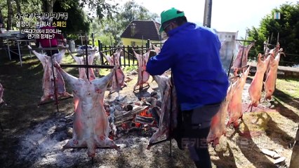 세계테마기행 - 열정이 그리워서, 스페인- 돈키호테를 닮은 사람들_#003