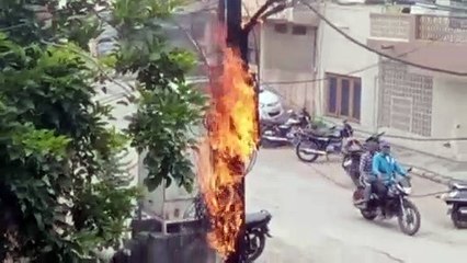 विद्युत पोल पर तारों में स्पार्किंग से लगी आग