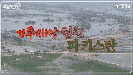 [세상만사] 국민 7명 중 1명 홍수 피해 입었는데 해줄 수 있는 게 없는 파키스탄 정부 / YTN