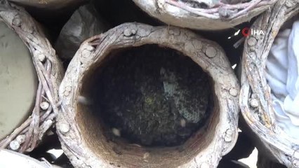 Tüketilen ballara dikkat, kimyasal madde içerebilir