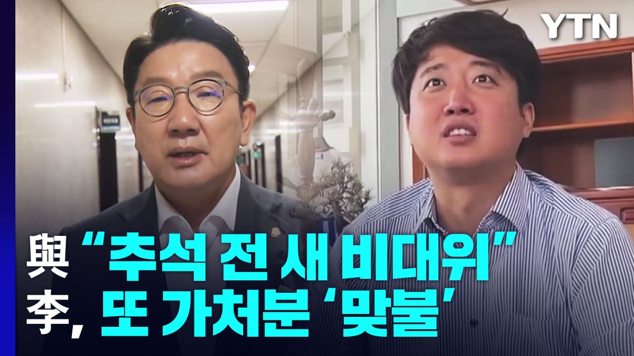 與 "추석 전 새 비대위" vs 李, 또 가처분 '맞불' / YTN