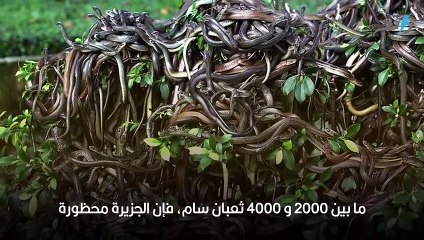 12 من أخطر الأماكن في العالم أحدهم في دولة عربية