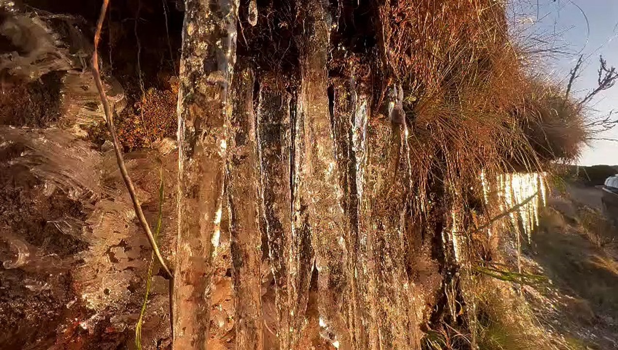 SC amanhece com geada na Serra