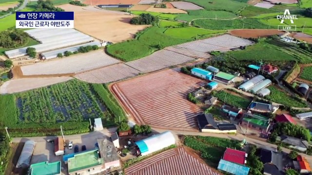 [현장 카메라]어렵게 데려온 외국인 계절근로자 도주…그들은 왜