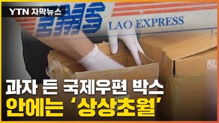 [자막뉴스] 국제우편 박스서 '우수수'...박스 속에는 상상초월  / YTN