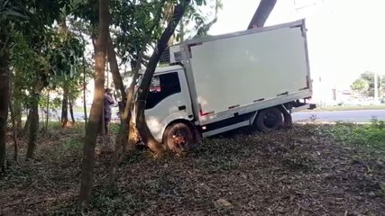 Caminhoneiro leva fechada, perde o controle do veículo e invade o Bosque dos Xetá