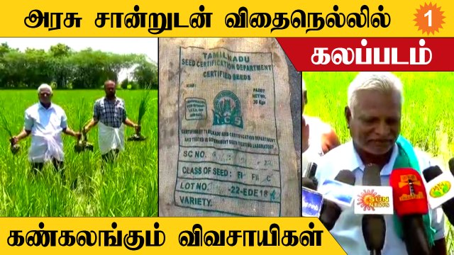 Adulteration | போலி விதைநெல்லை பயிரிட்டு நஷ்டத்தில் தவிக்கும் விவசாயிகள்