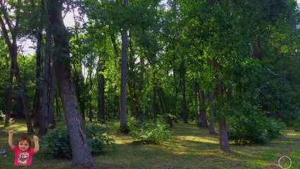 Piano  Relaxation Music Video for Stress Relief and Positive Energy to all.