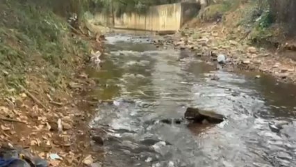 Encuentran cuerpo desmembrado en una vereda de Cali