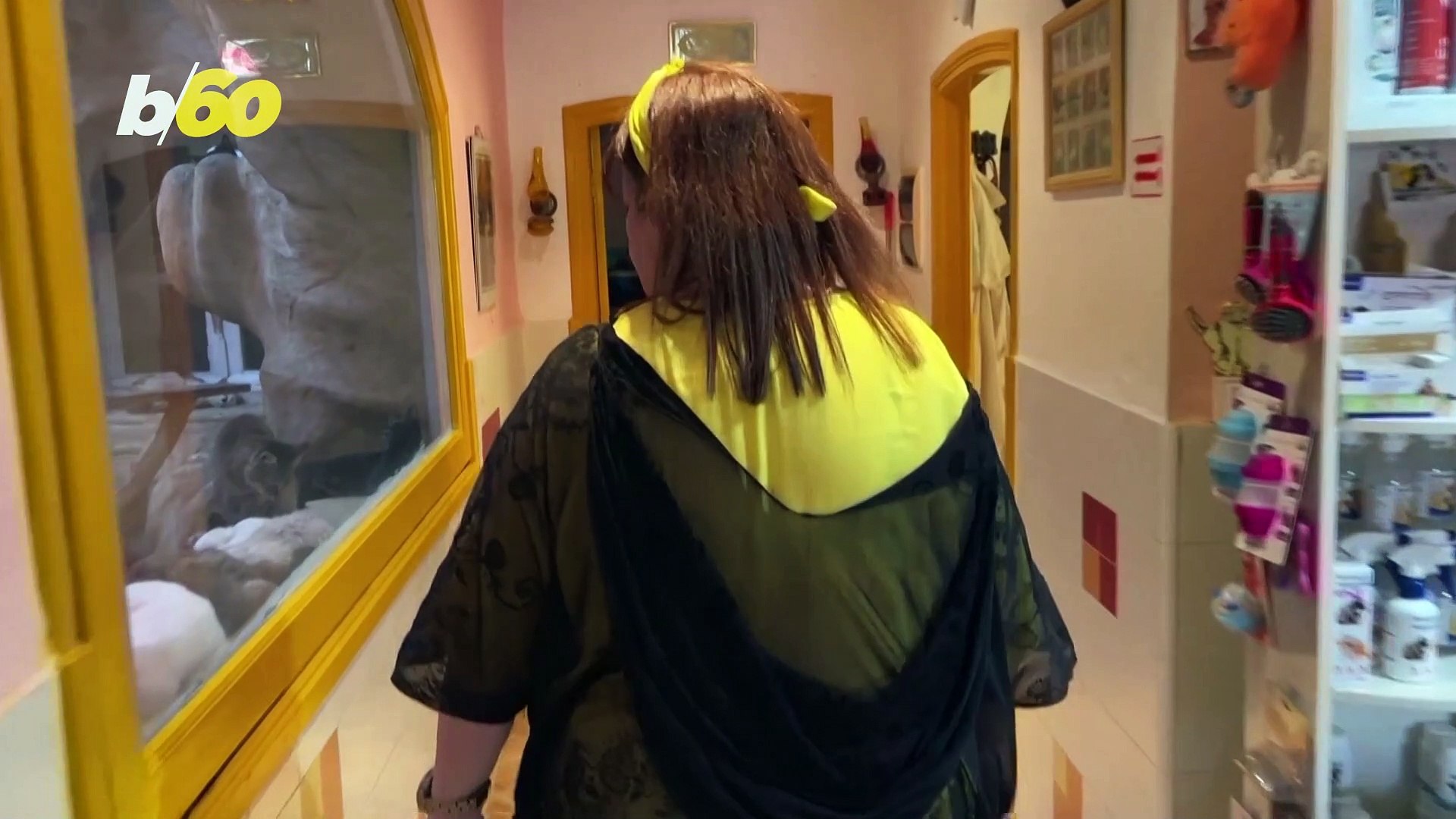 ⁣Animal Lover Converts Home into Rescue Shelter