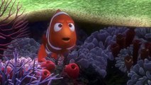 Le Monde de Nemo Bande-annonce (TR)