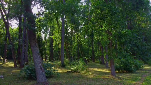 Beautiful Piano Relaxation Music! Ambient Music,yoga music, soothing music , & Relaxation Music