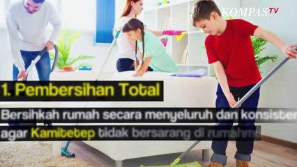 Bikin Kulit Gatal dan Rumah Kotor, Ini Tips Usir Kamitetep dari Rumah