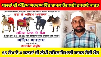 55 lakhs  ਦੇ 4 ਬਲਦਾਂ ਦੀ lumpy skin  ਬਿਮਾਰੀ ਕਾਰਨ ਮੌਤ, ਅੰਤਿਮ ਅਰਦਾਸ ਚ ਸੈਂਕੜੇ ਲੋਕਾਂ ਦਾ ਹੋਇਆ ਇਕੱਠ |