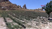 Kapadokya'da neler oluyor: Yeni yol nereye yapılacak?