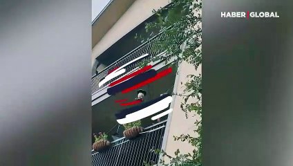 Yem yerken farkında olmadan birbirine yardım eden kuşlar kamerada