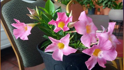 Morning Edition: 29th August 2022