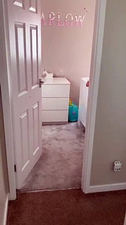 Ce bébé a été pris en plein flagrant délit