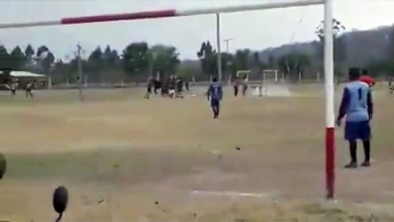 Quand un taureau provoque la suspension d'un match de foot