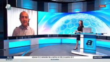 Comentador desportivo turco leva "chapada" do seu gato em direto na TV
