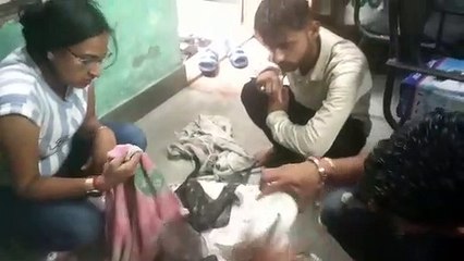 कोटा की बेटी ने दिल से महसूस की श्वानों की पीड़ा, विवशता और लाचारी