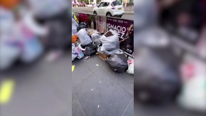 Bin collections remain suspended in Scotland as workers strike until 30th August