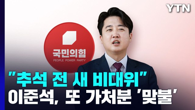 與 추석 전 새 비대위 vs 李, 또 가처분 '맞불' / YTN