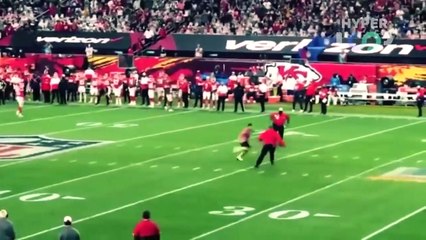 20 FUNNIEST MOMENTS WITH FANS IN SPORTS
