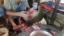 Best Fish Cutting Video || Ruhu Fish Cutting || Big Fish Cutting Video || Fish Cutter Experts