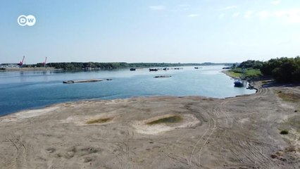 Чрезвычайная ситуация: Дунай мелеет из-за аномальной жары