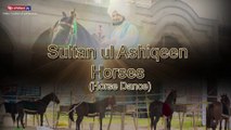 Sultan-ul-Ashiqeen Horse Dance | Sultan Bahoo Horse | Horse Dance Event | Horse Show Pakistan