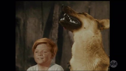 As Aventuras de Rin-Tin- Tin - Rin- Tin- Tin e o Barbeiro (28 08 2022)