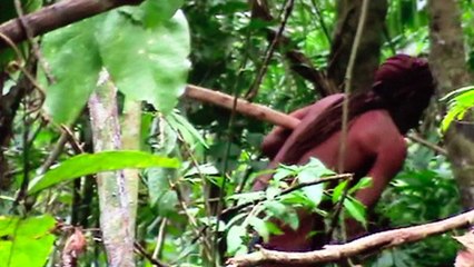 Morre último integrante de tribo indígena na Amazônia