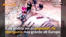 Expertos descubren un enorme esqueleto de dinosaurio