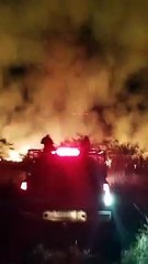 Incêndio destrói 5 alqueires de pastagem e centenas de eucaliptos em Douradina
