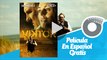 Viktor -  Gérard Depardieu - Película En Español Gratis