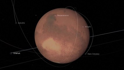 [오늘세계는] '50년 만의 달 탐사' 아르테미스 1호 발사 연기 / YTN