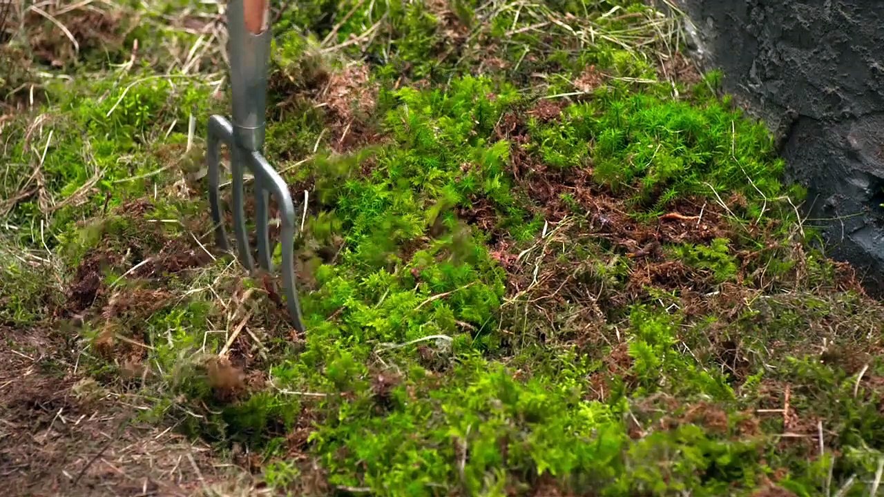 Fluch des Falken Staffel 2 Folge 45 HD Deutsch