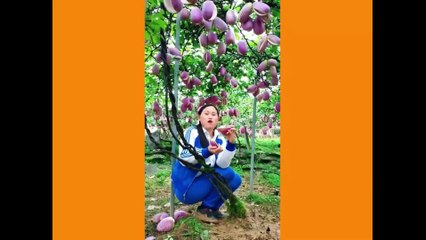 Chinese girl eat sweet mango | Amazing fruit mango | Chinese mango | red mango