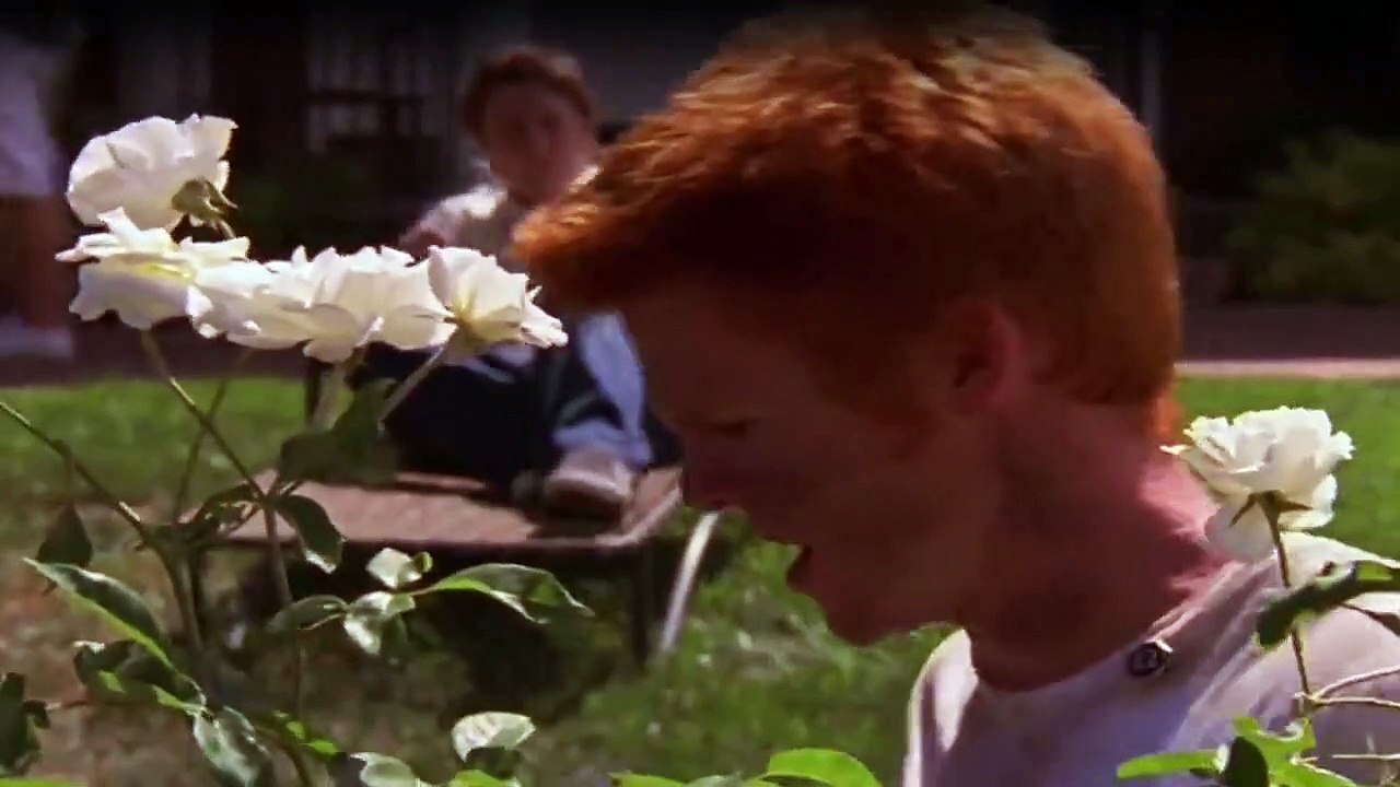 Greek Staffel 2 Folge 10 HD Deutsch