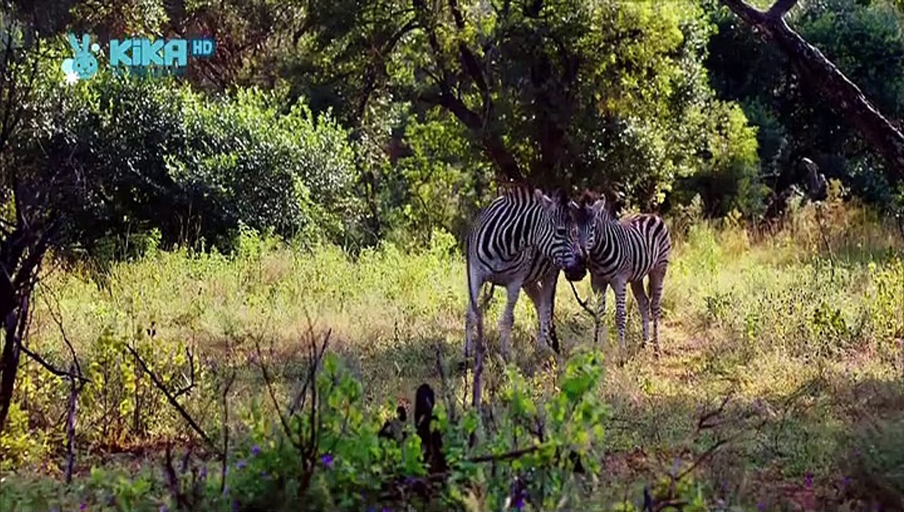 Casper und Emma Staffel 5 Folge 3 HD Deutsch