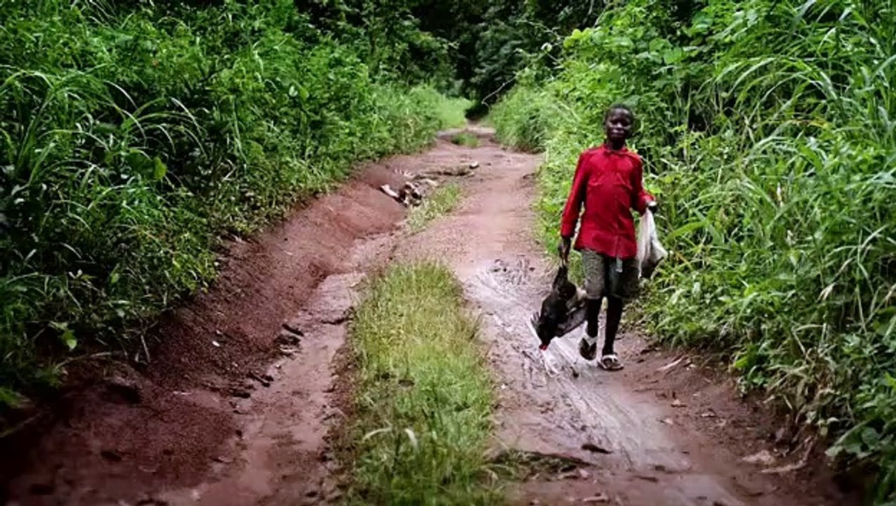 Augenzeugen staffel 1 folge 3 hd deutsch