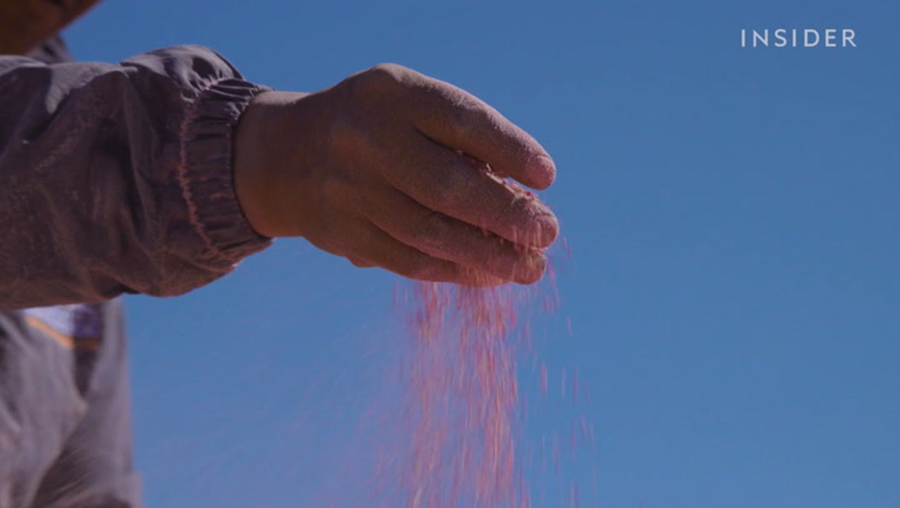 Royal quinoa is known as the "mother of all grains". Here's why it's so expensive.