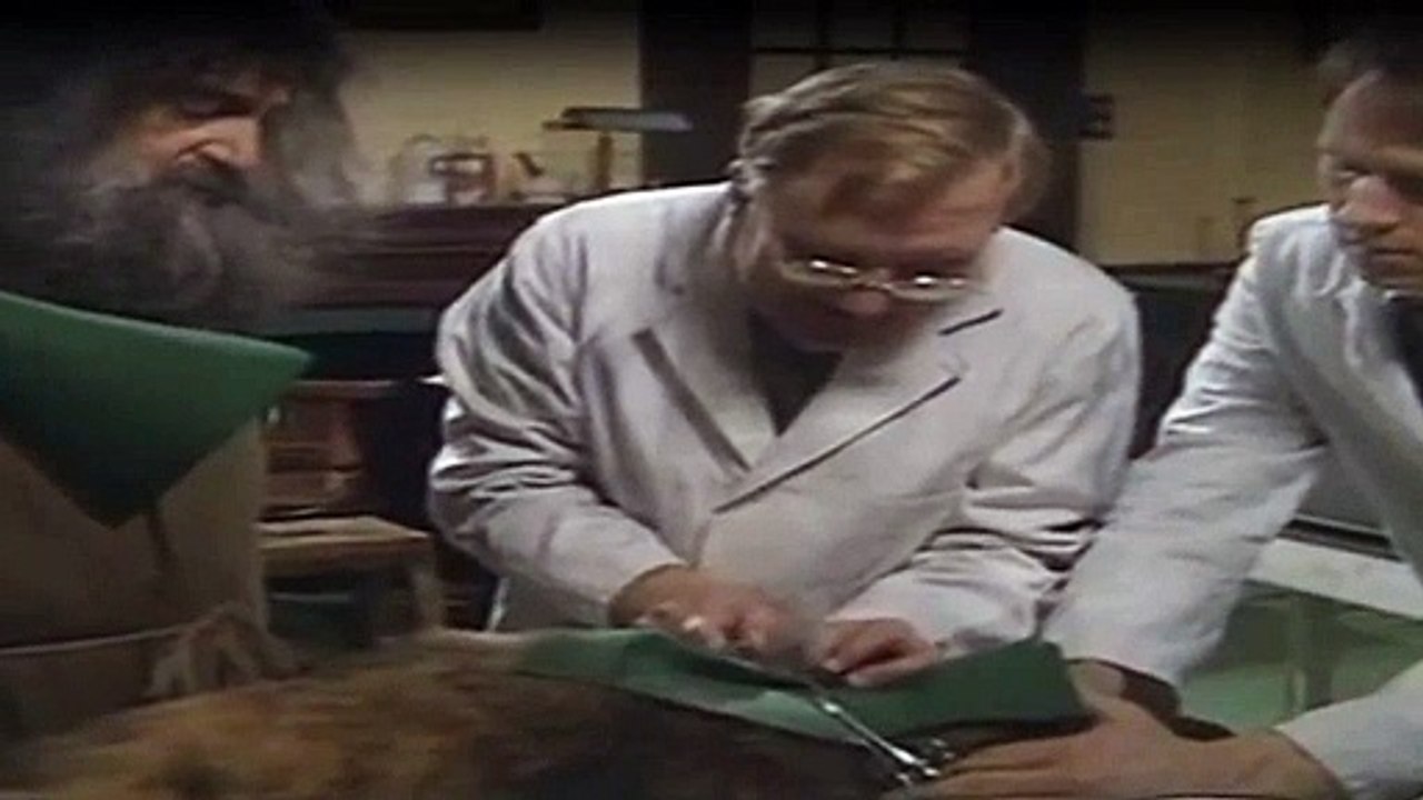 Der Doktor Und Das Liebe Vieh Staffel 3 Folge 4 - Part 02 HD Deutsch