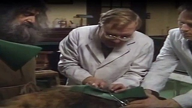 Der Doktor Und Das Liebe Vieh Staffel 3 Folge 4 - Part 02 HD Deutsch