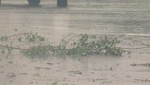 [날씨] 매우 강한 태풍 '힌남노'...다음 주 초반, 영향 가능성 / YTN