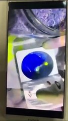 PKK’lının cep telefonundan ‘orman kundaklama’ videosu çıktı