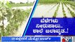 Crops & School Waterlogged In Raichur District Due To Heavy Rain | Public TV
