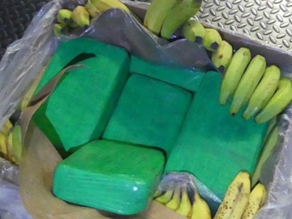 Obstlieferant in Brandenburg entdeckt 660 Kilo Kokain unter Bananen