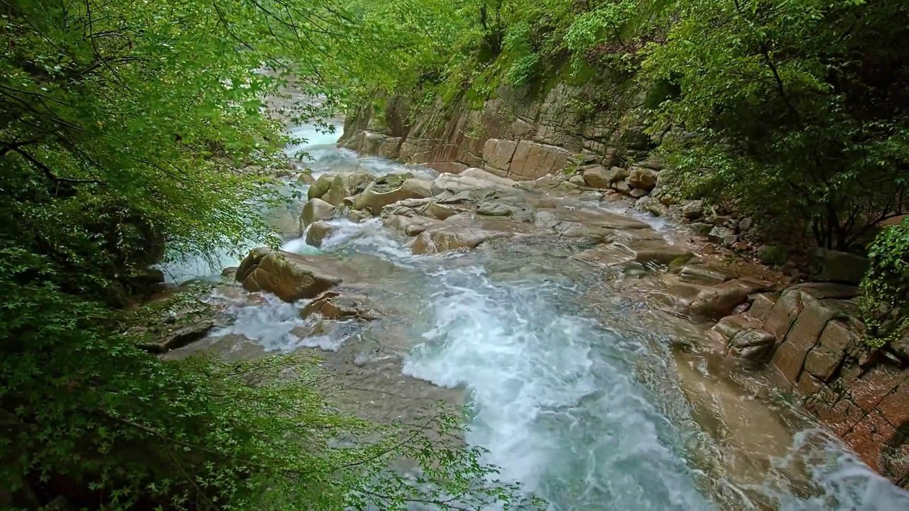 4K Relaxing Nature Sounds  Short Video Clips of Nature_1080p